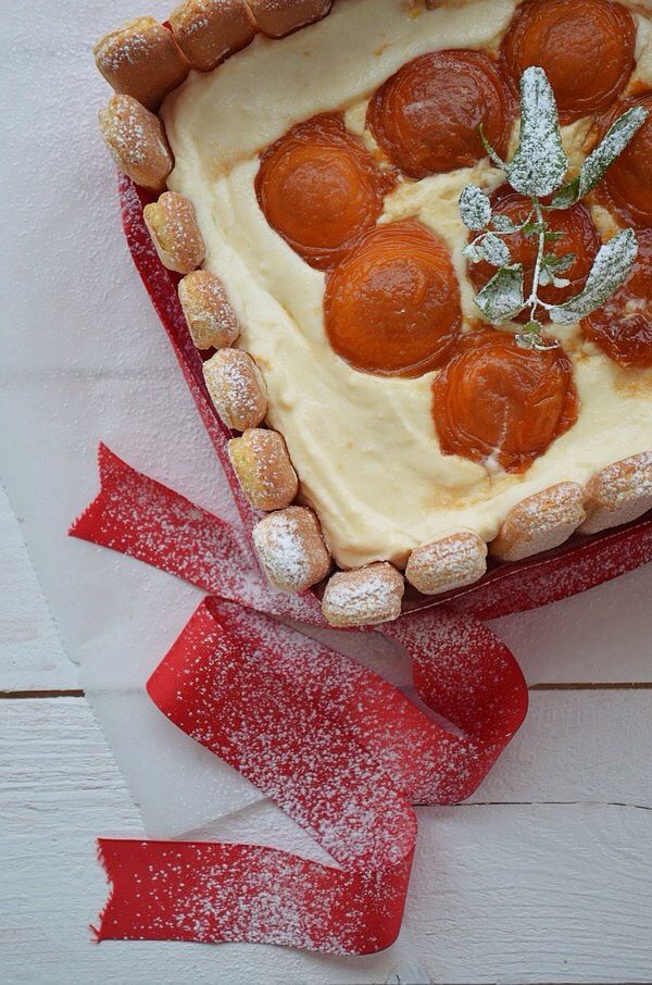 cream cheese, lady fingers, apricot caramelised, sweet recipe summer, trend pastry, συνταγή, τούρτα, τυρί κρέμα, ανθότυρο, καραμελωμένα φρούτα, Γαβριήλ Νικολαΐδης, cool artisan 