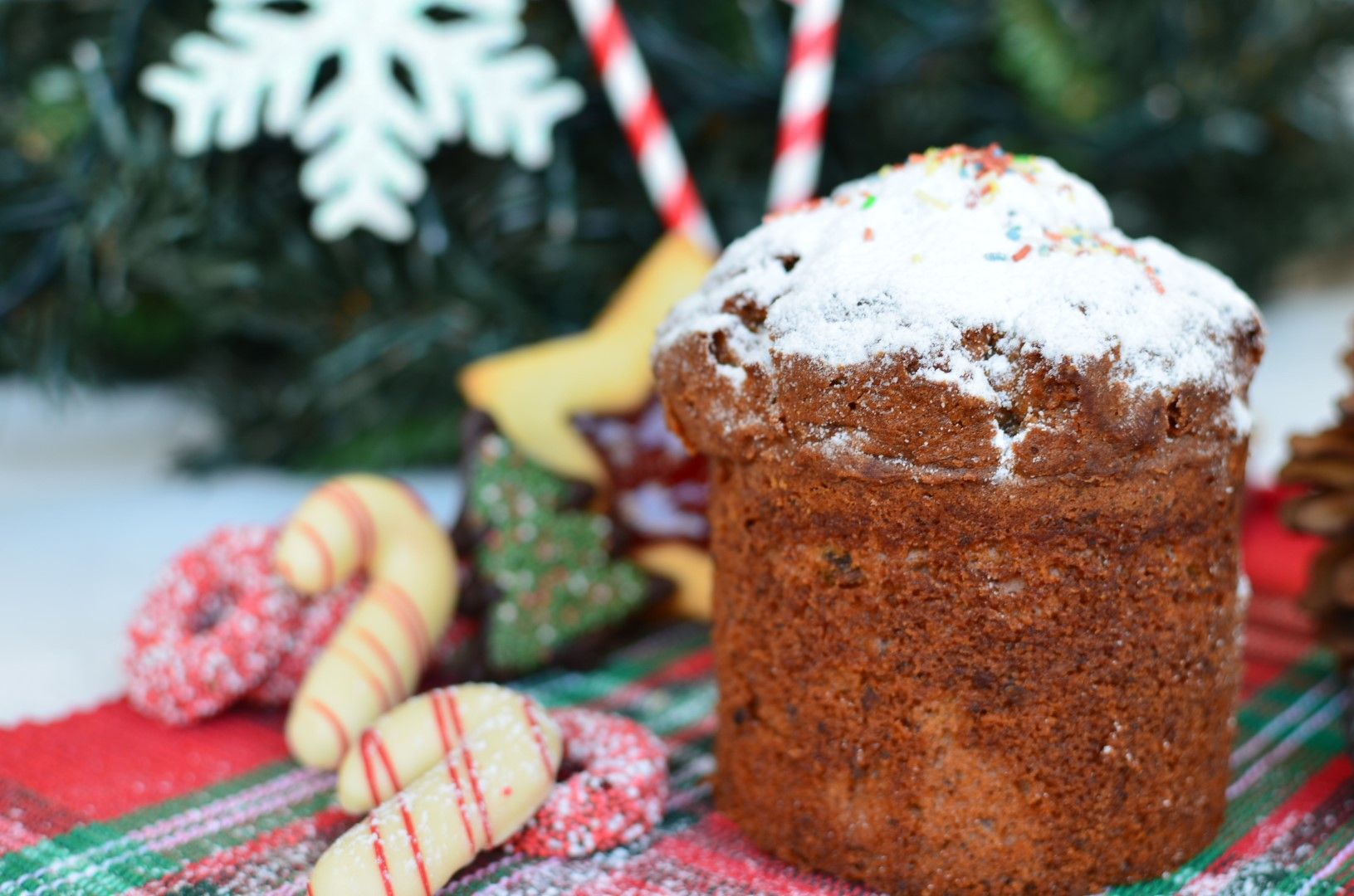 Homemade Panettone italian, Recipe, συνταγή, πανετόνε, σταφίδες, φρουί γλασέ, ιταλικό κέικ, χριστουγεννιάτικο,Χριστούγεννα, Γαβριήλ Νικολαΐδης 