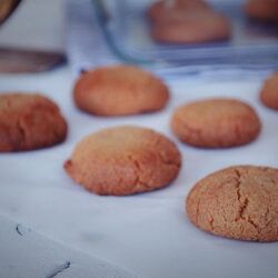 Old Fashioned 3 Ingredient Peanut Butter Cookies , μπισκότα, 3 υλικά, γρήγορα, εύκολα, συνταγή, φυστικοβούτυρο, Γαβριήλ Νικολαίδης, cool artisan