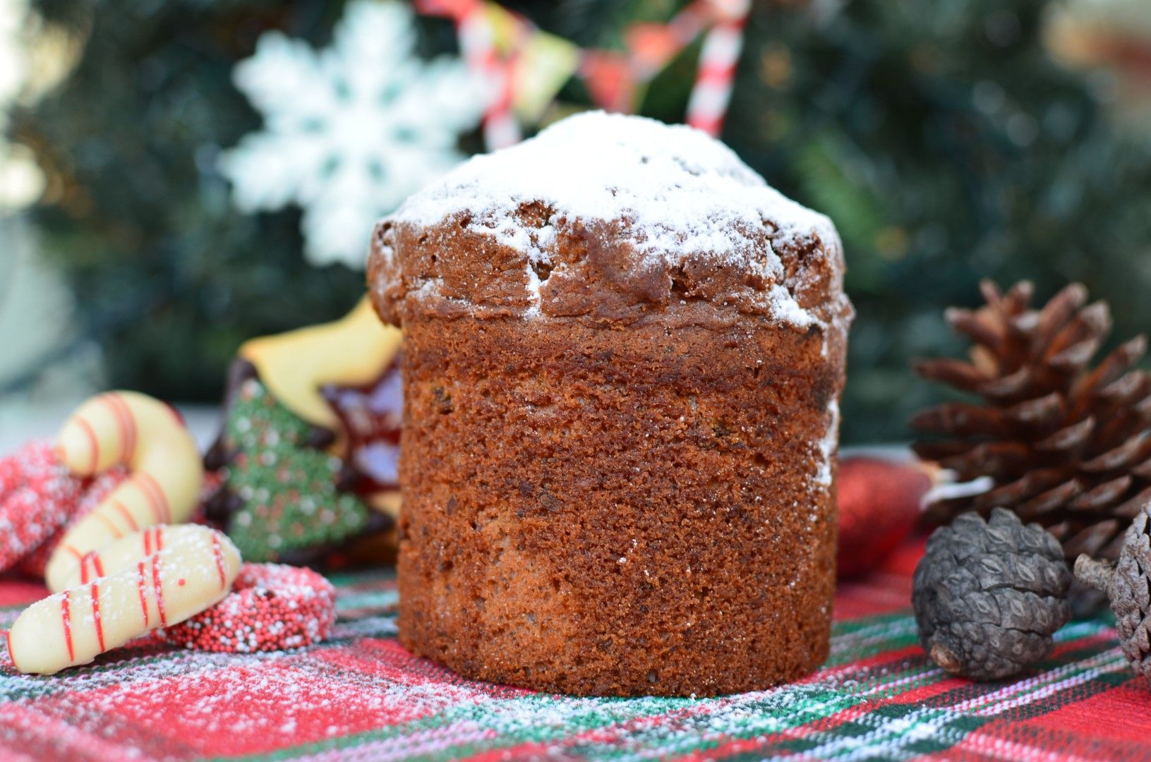 Homemade Panettone italian, Recipe, συνταγή, πανετόνε, σταφίδες, φρουί γλασέ, ιταλικό κέικ, χριστουγεννιάτικο,Χριστούγεννα, Γαβριήλ Νικολαΐδης