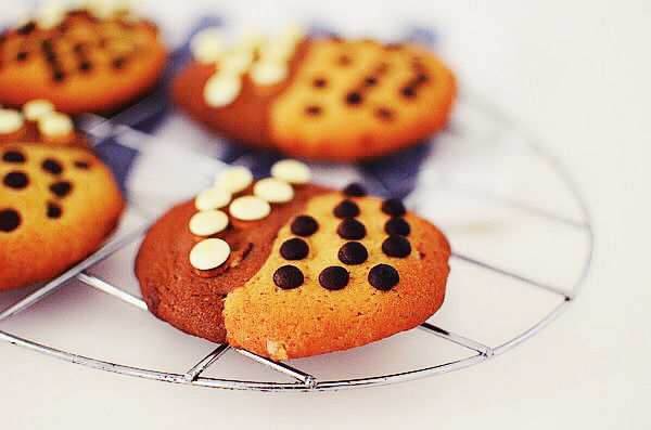 Super Soft and Chewy Chocolate Chip Cookies Recipe, μαλακά, μπισκότα, βανίλια, σοκολάτα, συνταγή, απλή, Γαβριήλ Νικολαΐδης, cool artisan 1